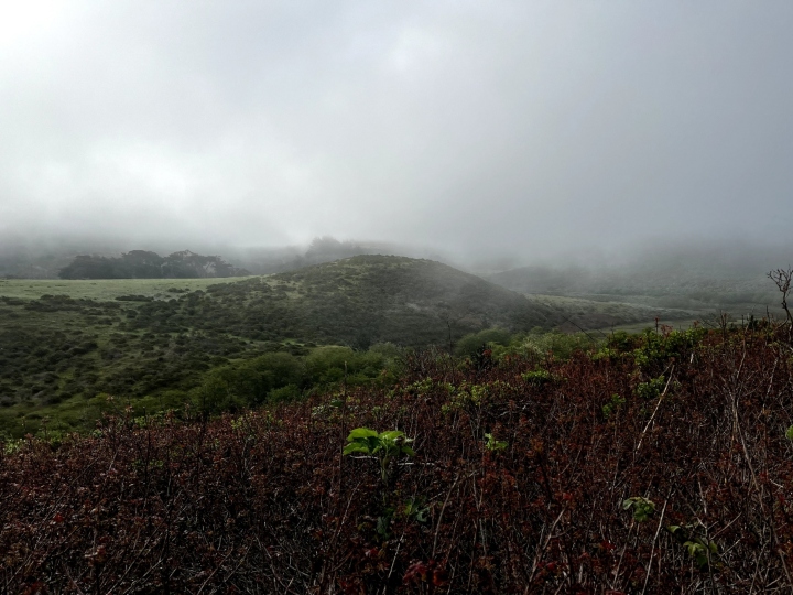 Herp Habitat